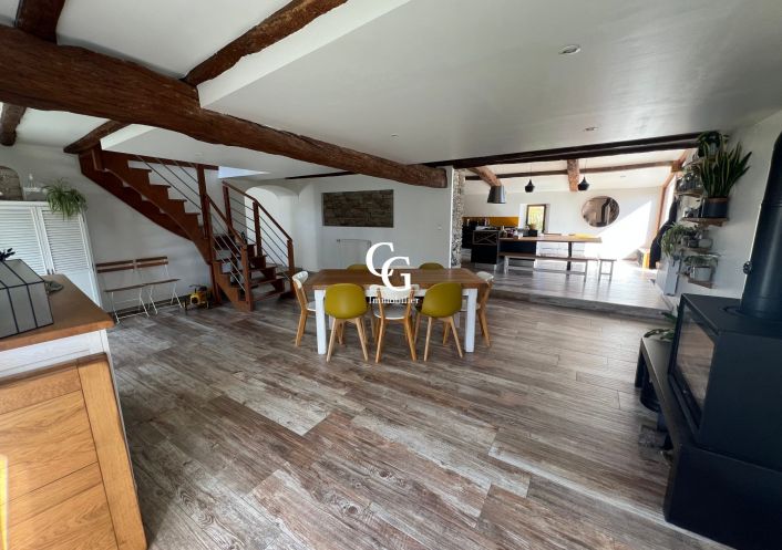 à vendre Maison Vieillevigne