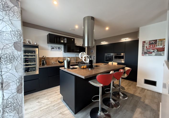 à vendre Maison Vieillevigne