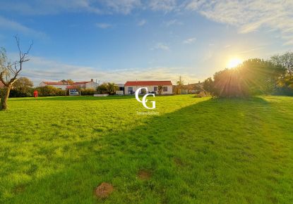 vente Maison Vieillevigne