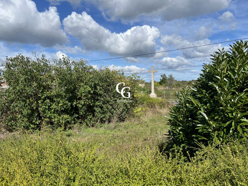 vente Terrain Aigrefeuille-sur-maine - Photo 1