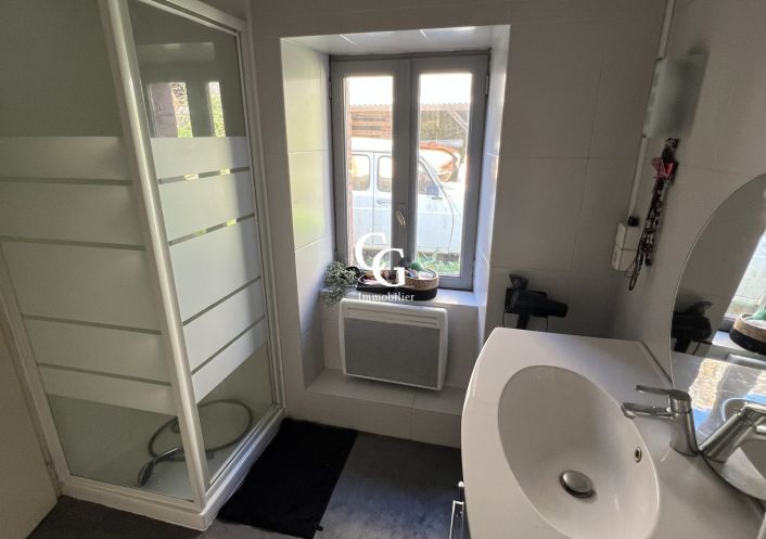 à vendre Maison Vieillevigne