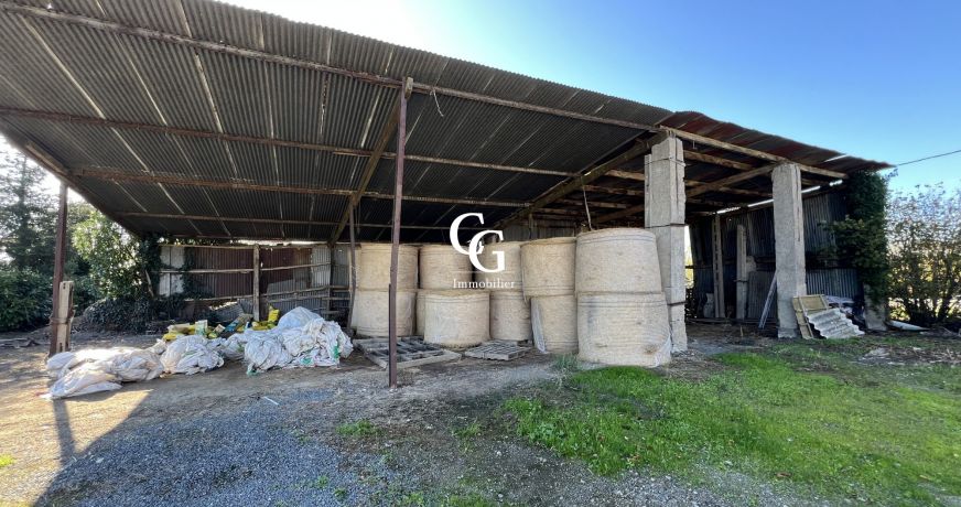 vente Maison Aigrefeuille-sur-maine