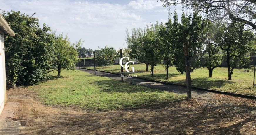 vente Terrain Vieillevigne