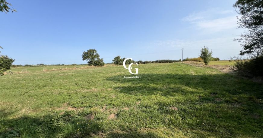 vente Maison Vieillevigne