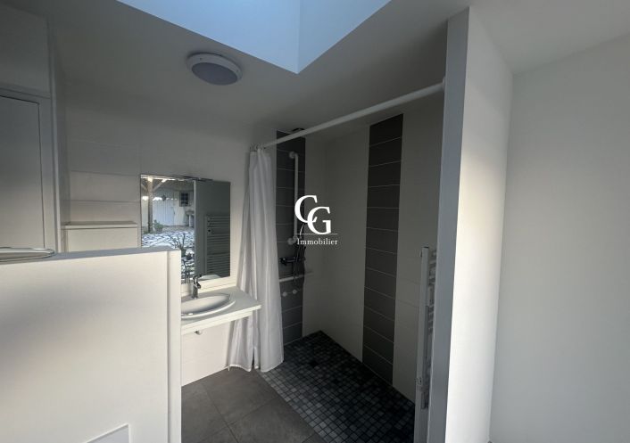 à vendre Maison Vieillevigne