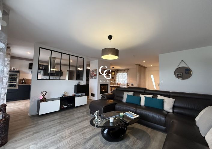 à vendre Maison Vieillevigne