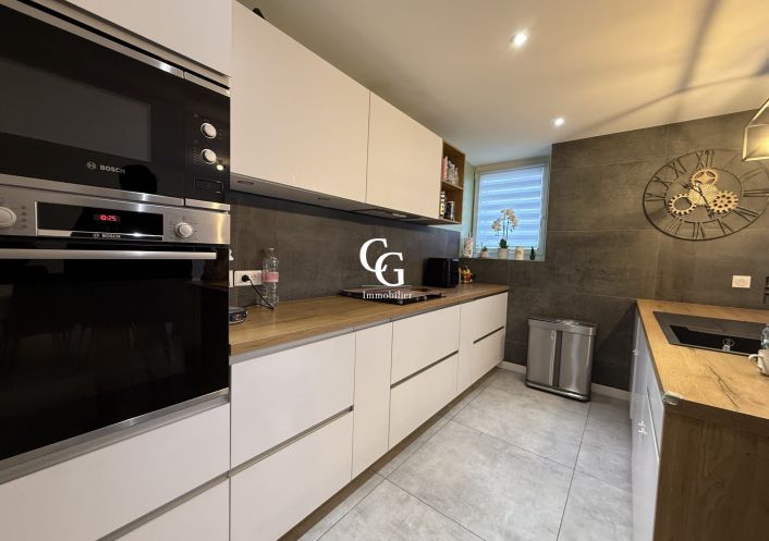 à vendre Maison Vieillevigne