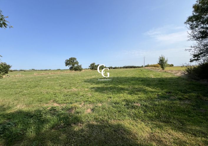 à vendre Maison Vieillevigne