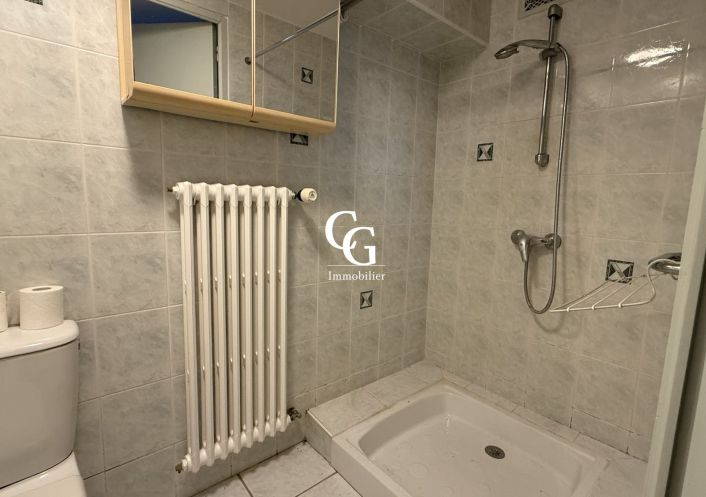 à vendre Maison Vieillevigne