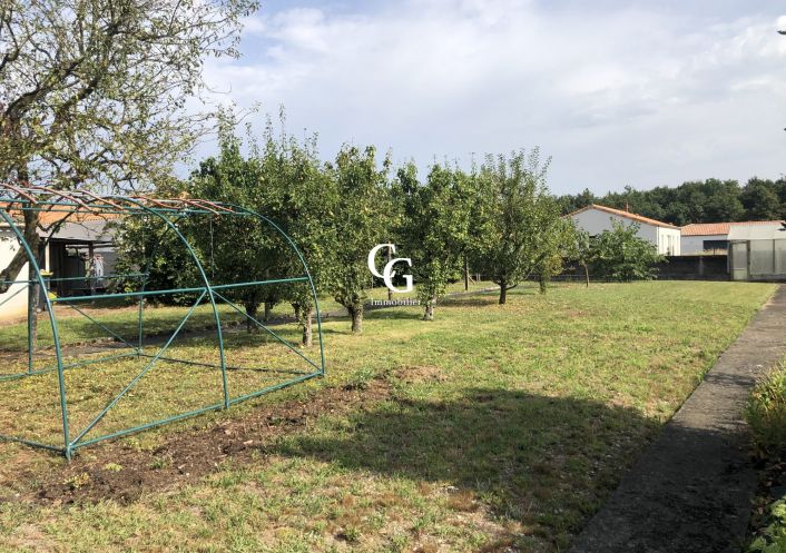 à vendre Terrain Vieillevigne