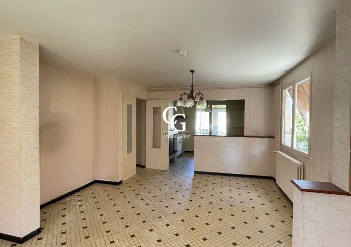 à vendre Maison Vieillevigne