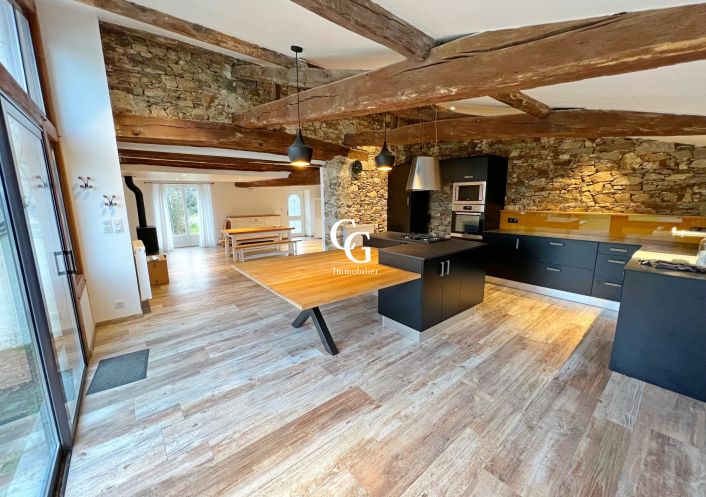 à vendre Maison Vieillevigne