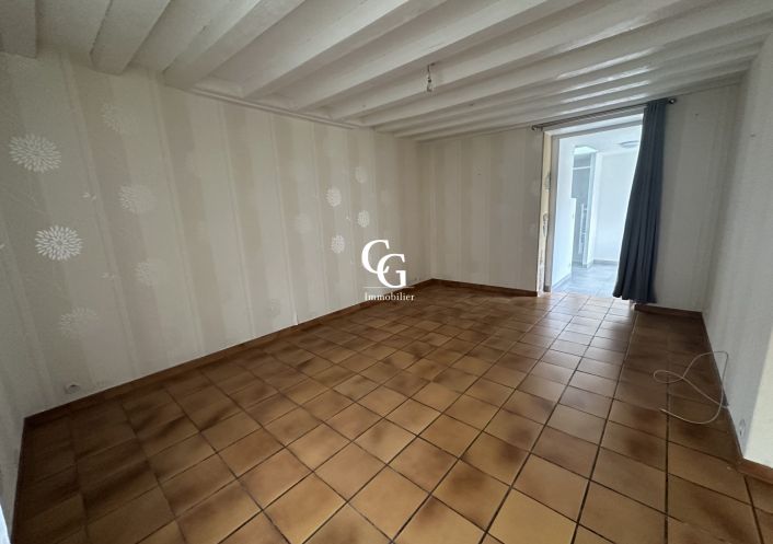 à vendre Maison Vieillevigne