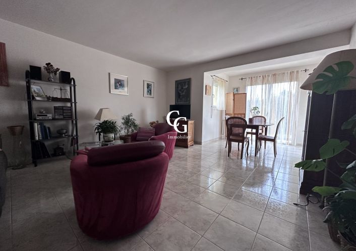 à vendre Maison Vieillevigne