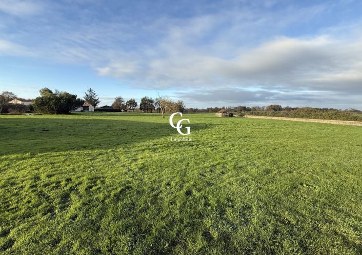 à vendre Maison Vieillevigne