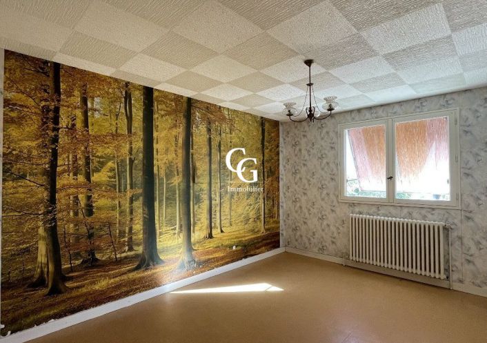 à vendre Maison Vieillevigne