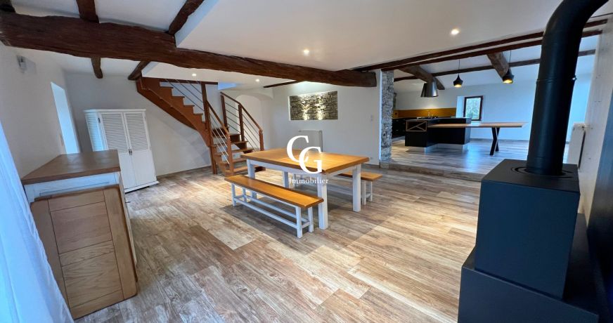 vente Maison Vieillevigne