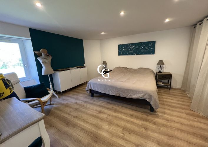 à vendre Maison Vieillevigne