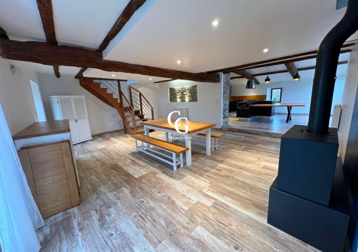 à vendre Maison Vieillevigne