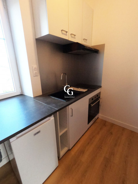 location Appartement Nantes - Photo 4