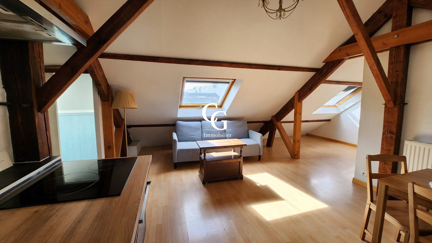 à louer Appartement Nantes - Photo 1