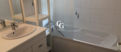 location Maison Nort-sur-erdre