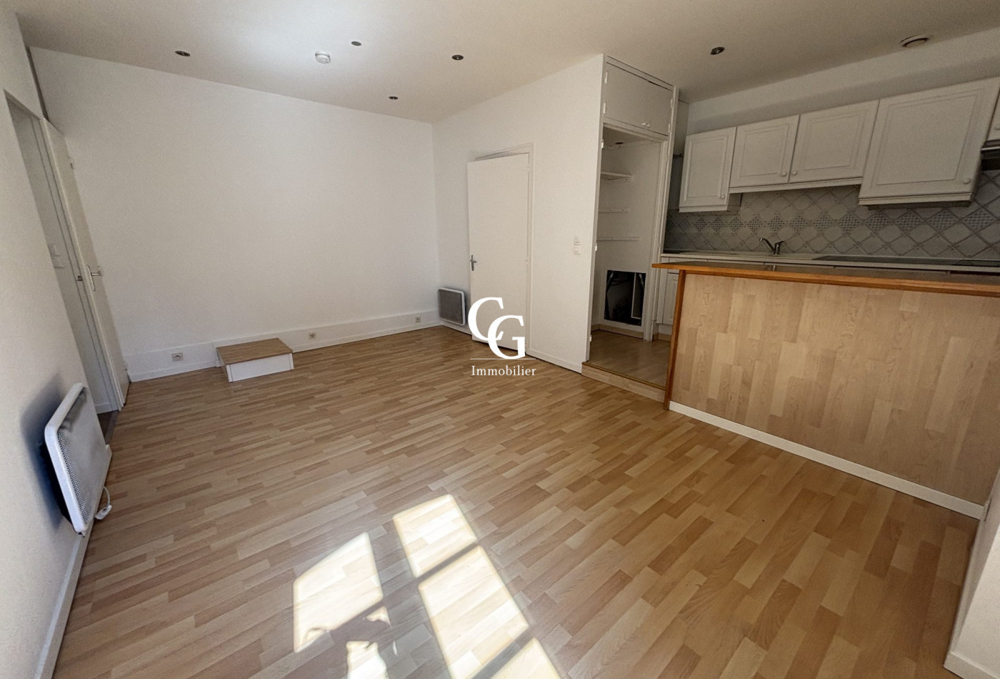 location Appartement Nantes - Photo 1