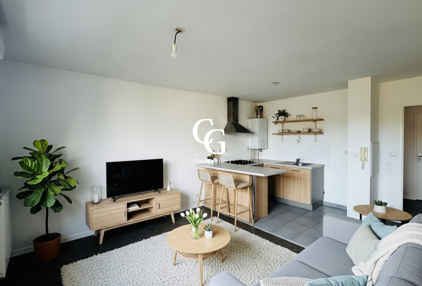 vente Appartement Nantes - Photo 3