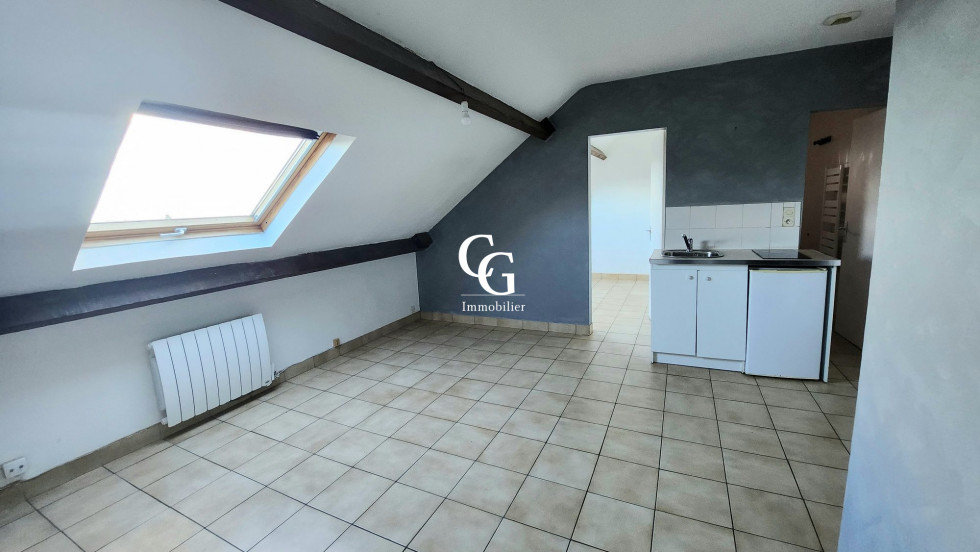 location Appartement Nantes - Photo 1