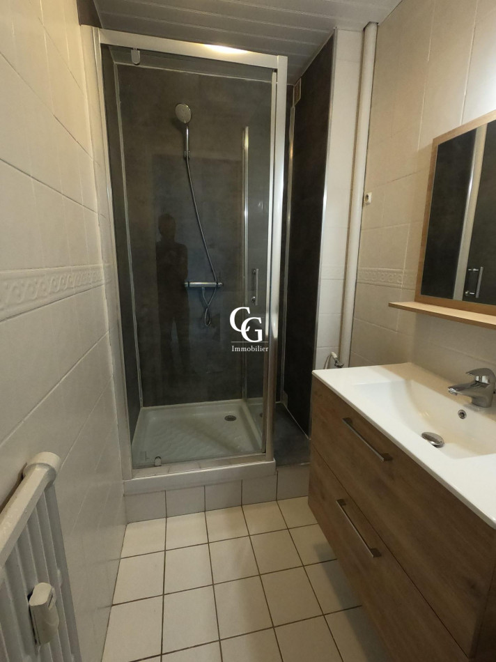 à louer Appartement Nantes - Photo 6