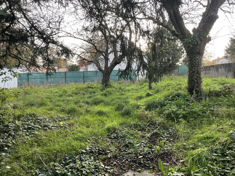 vente Terrain Vertou - Photo 2