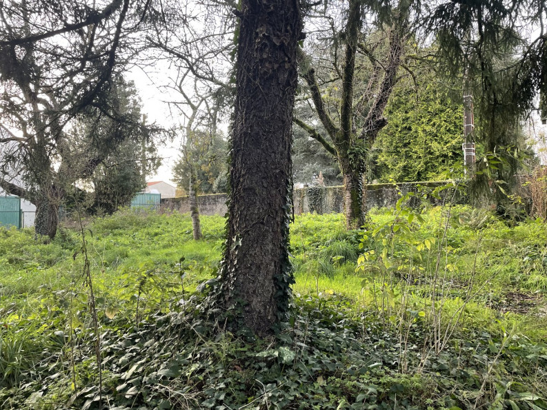 vente Terrain Vertou - Photo 3