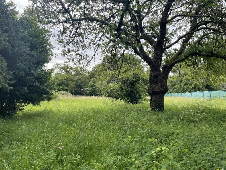 vente Terrain Vertou - Photo 1