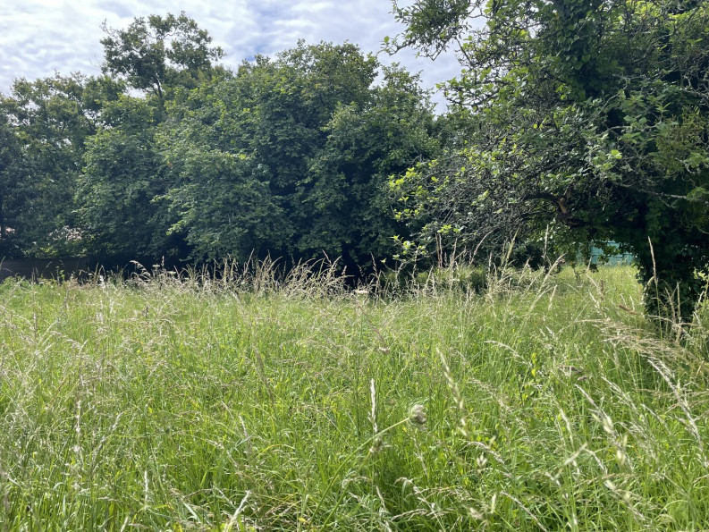 vente Terrain Vertou - Photo 2