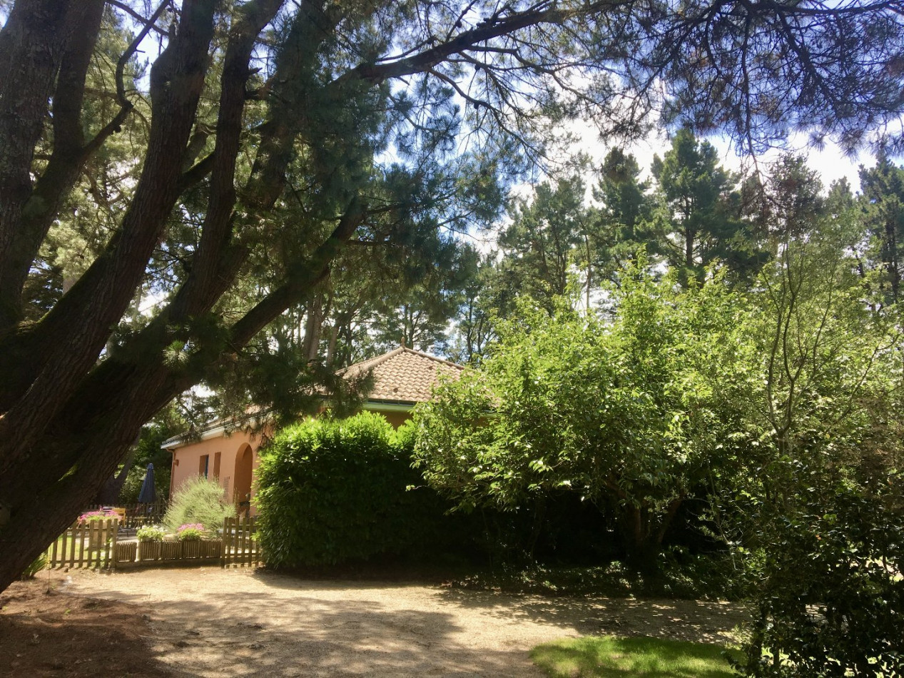 à vendre Maison Vallet - Photo 1