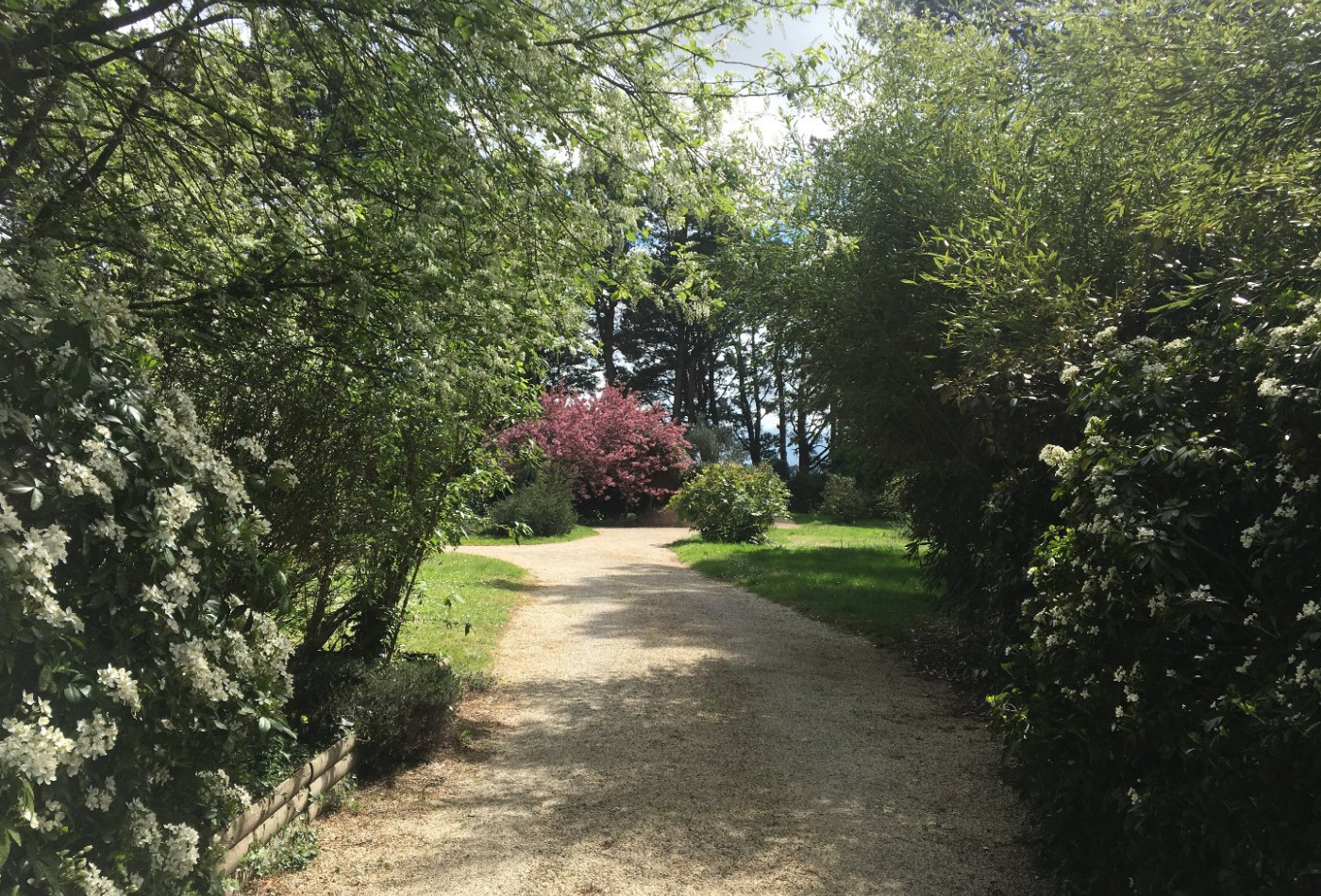 vente Maison Vallet - Photo 8