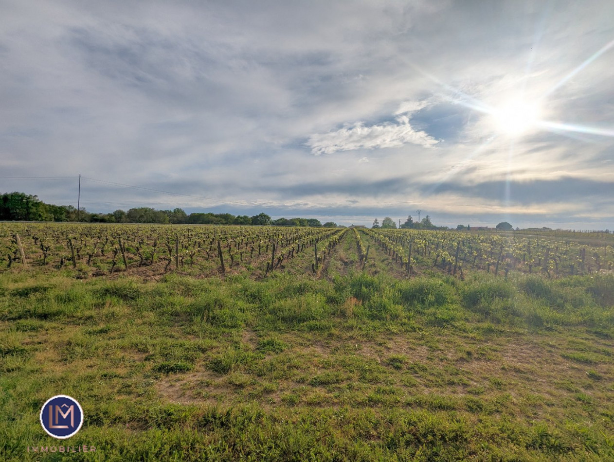 à vendre Maison Chateauthebaud - Photo 3