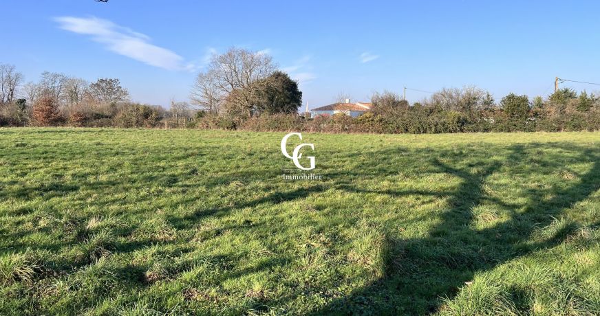 vente Terrain Brains