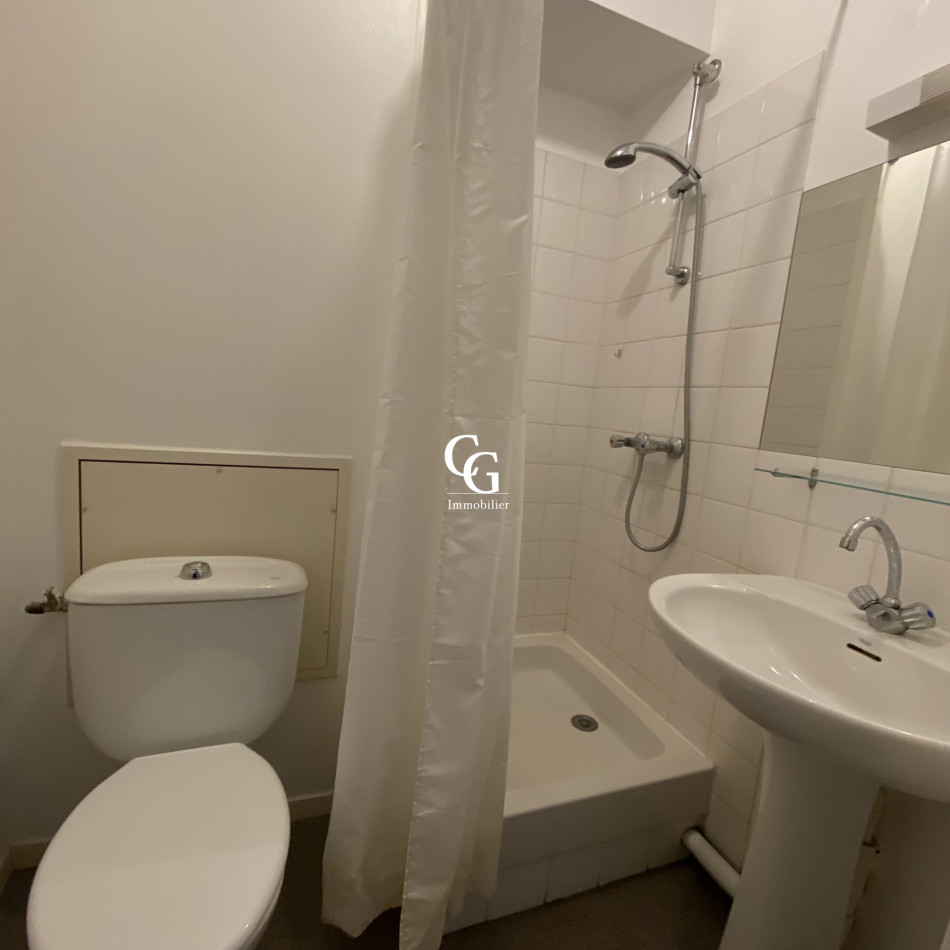 à louer Appartement Nantes - Photo 4