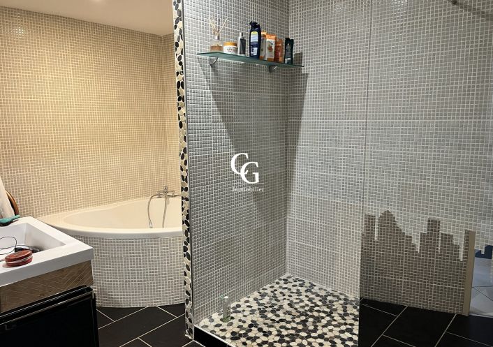 à vendre Maison La Montagne