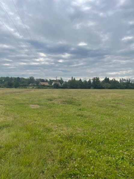 vente Terrain constructible Tigy - Photo 1