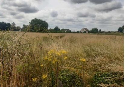 vente Terrain constructible Huisseau Sur Mauves