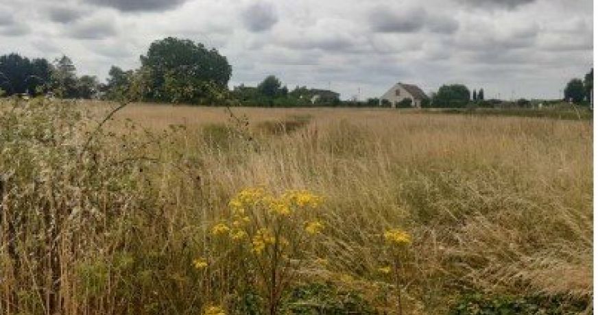 vente Terrain constructible Huisseau Sur Mauves