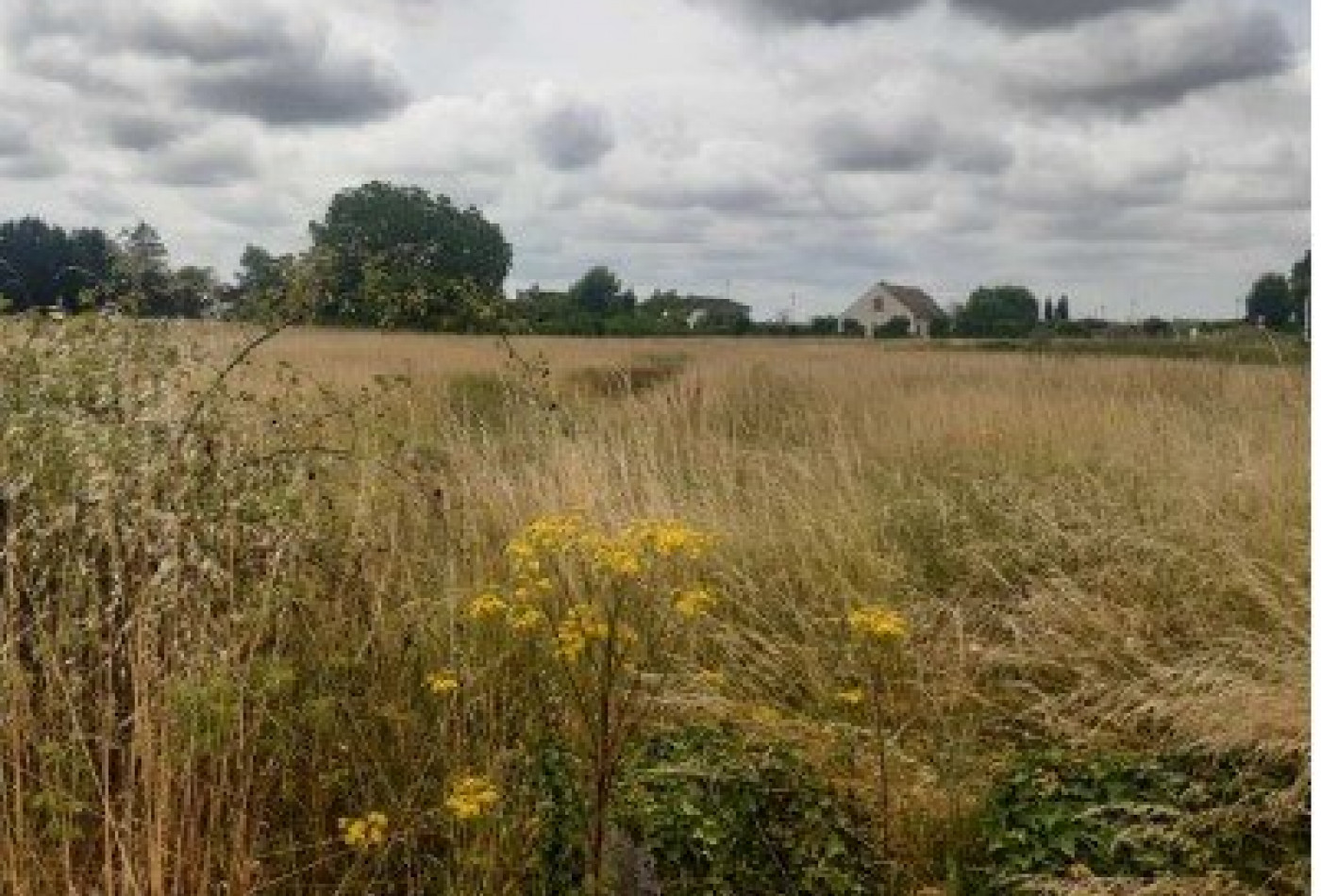 vente Terrain constructible Huisseau Sur Mauves - Photo 1