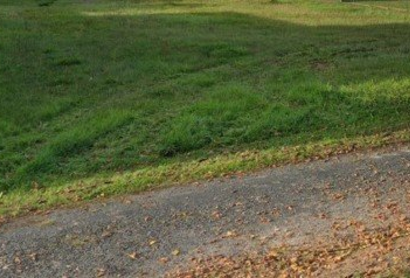 vente Terrain à aménager Mareau Aux Pres - Photo 1