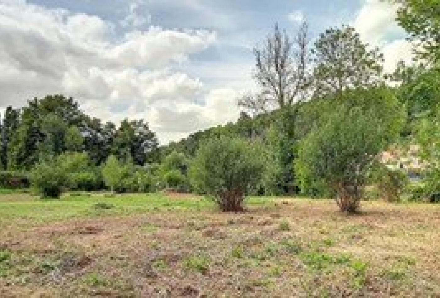 vente Terrain constructible Saclas - Photo 1