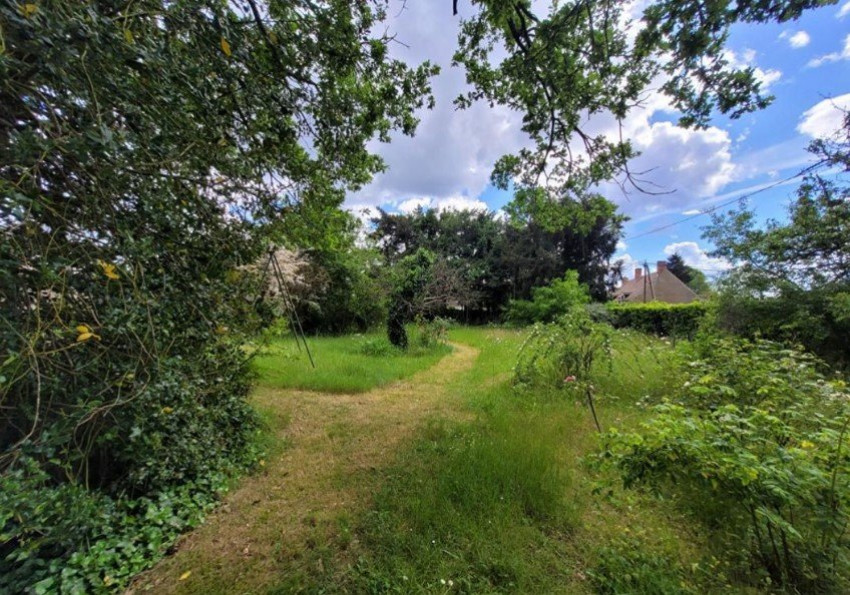 vente Terrain à aménager Olivet - Photo 1