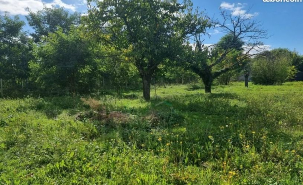 vente Terrain à aménager Montigny Sur Loing - Photo 1