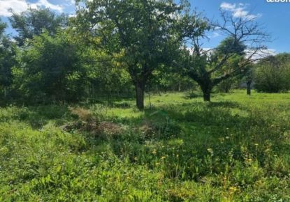 vente Terrain à aménager Montigny Sur Loing