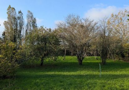 vente Terrain à aménager Ingre